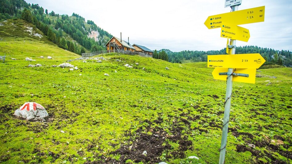 Mountain Hike Alpine Hike from the Stoderzinken across the Grafenbergalm to the Kufstein - Touren-Impression #2.4