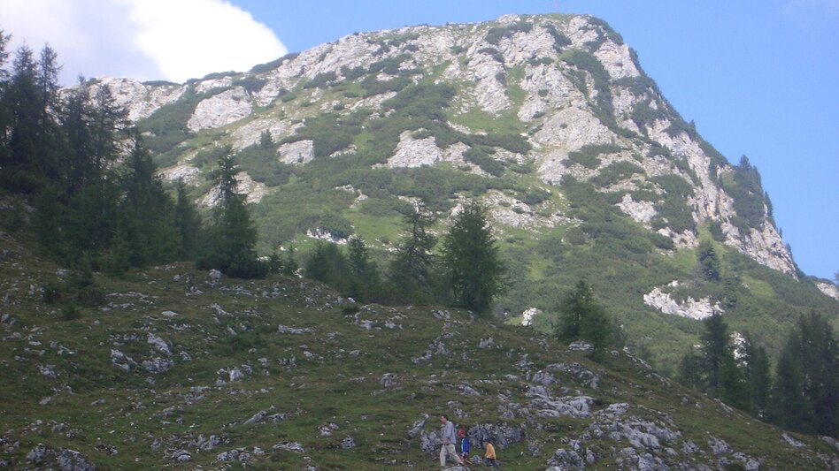 Mountain Hike Alpine Hike from the Stoderzinken across the Grafenbergalm to the Kufstein - Touren-Impression #2.6 | © Privat