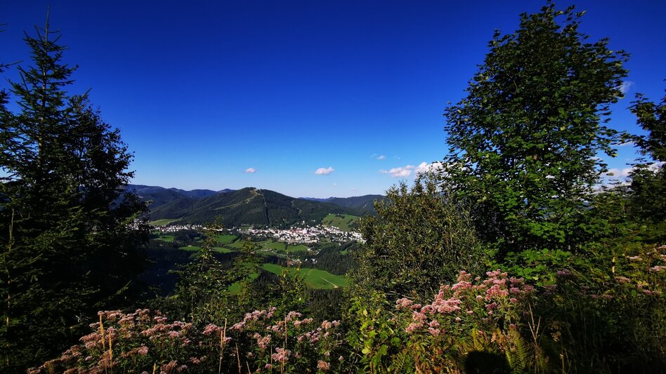 Mountain Biking Romantic tour Mariazeller Land - Touren-Impression #2.6 | © TV Hochsteiermark