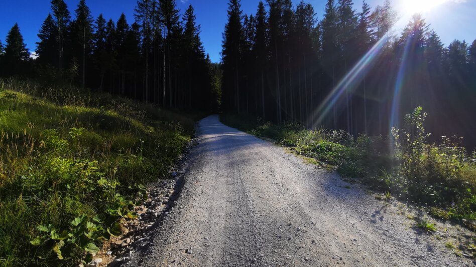 Mountain Biking Romantic tour Mariazeller Land - Touren-Impression #2.7 | © TV Hochsteiermark