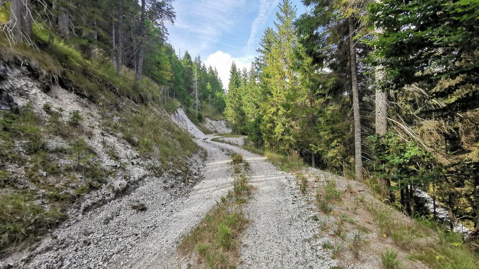 Mountain Biking Romantic tour Mariazeller Land - Touren-Impression #2.2 | © TV Hochsteiermark