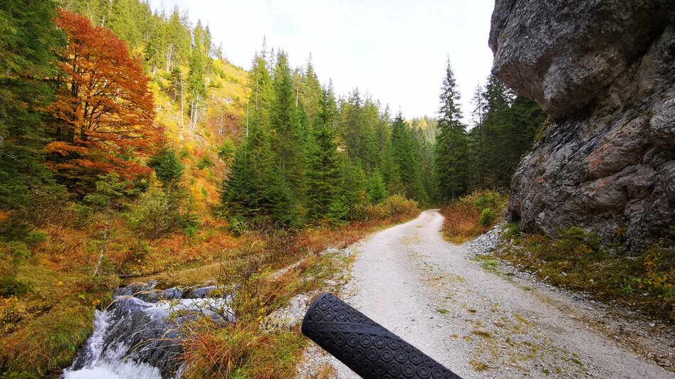 Mountain Biking Romantic tour Mariazeller Land - Touren-Impression #2.4 | © TV Hochsteiermark