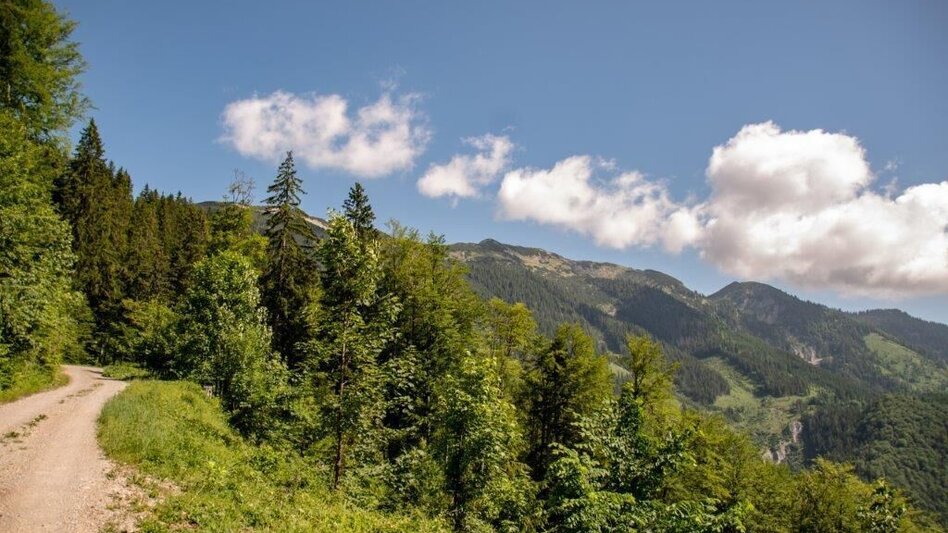 Mountain Biking Buchsteinrunde Etappe 1 (St. Gallen - Palfau) - Touren-Impression #2.8 | © TV Gesäuse