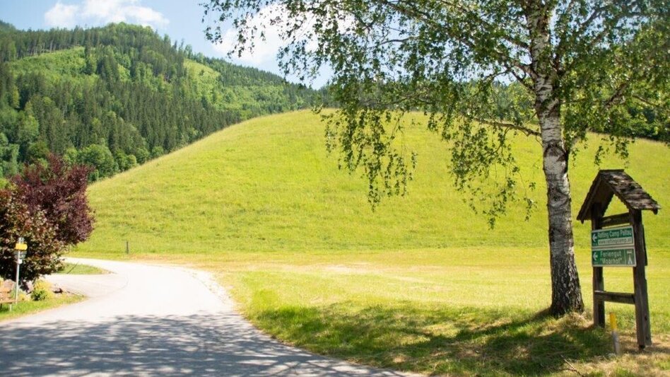 Mountain Biking Buchsteinrunde Etappe 1 (St. Gallen - Palfau) - Touren-Impression #2.11 | © TV Gesäuse