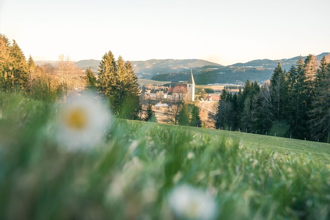 Themen- und Lehrpfad Eiszeit - Ab durch die Grundmoräne - Touren-Impression #1 | © Tourismusverband Murau