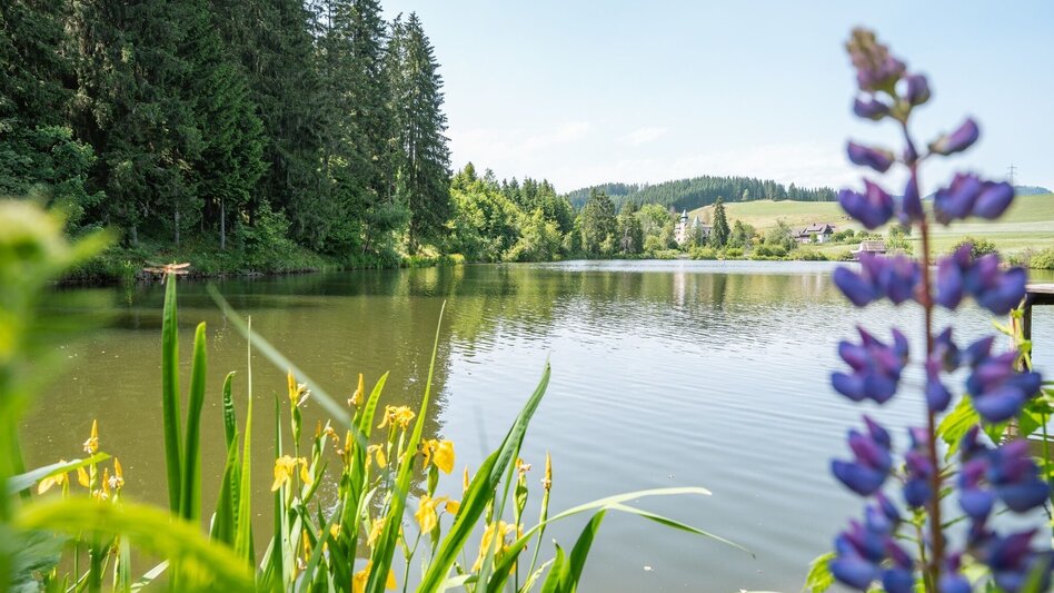 Themen- und Lehrpfad Eiszeit - Ab durch die Grundmoräne - Touren-Impression #2.3 | © Tourismusverband Murau