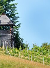 Keltischer Wehrturm | © TV Südsteiermark/Peter Schimpel | Peter Schimpel | © TV Südsteiermark/Peter Schimpel