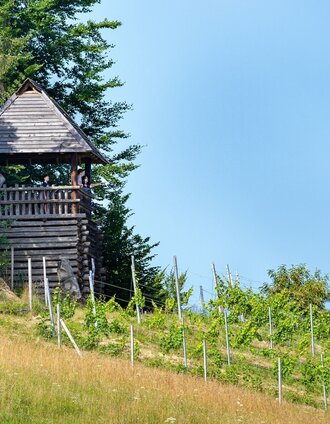 Keltischer Wehrturm | Peter Schimpel | © TV Südsteiermark/Peter Schimpel