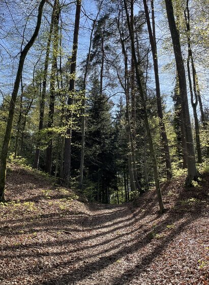 Zwischen den Hügelgräbern | © Elisabeth Temmel | Erlebnisregion Südsteiermark | © Elisabeth Temmel
