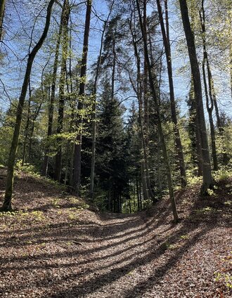 Zwischen den Hügelgräbern - Elisabeth Temmel.jpg | Erlebnisregion Südsteiermark | © Elisabeth Temmel