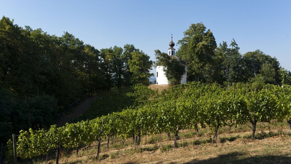 Theme path Geo-Trail Kapfenstein - Touren-Impression #2.8 | © Erlebnisregion Thermen- & Vulkanland