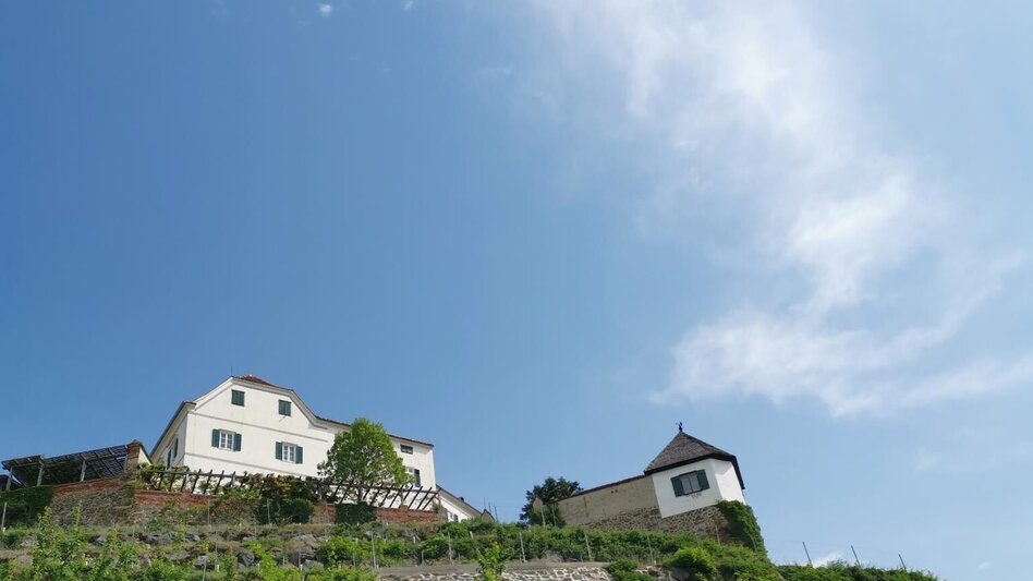 Theme path Geo-Trail Kapfenstein - Touren-Impression #2.9 | © Thermen- & Vulkanland