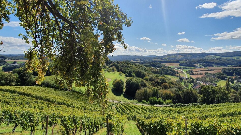 Theme path Geo-Trail Kapfenstein - Touren-Impression #2.12 | © Steiermark Tourismus