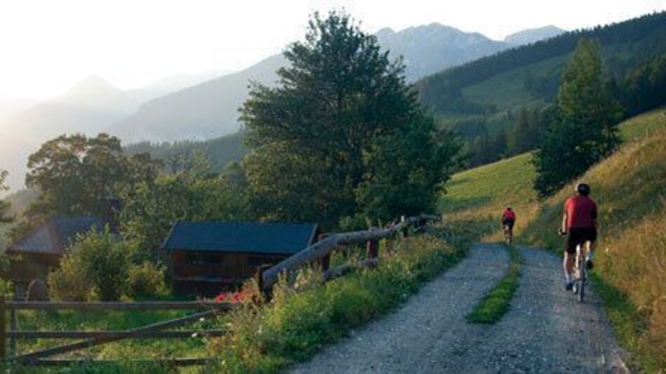 Mountainbike Weidau Tour LN 8 - Touren-Impression #2.1 | © TV Hochsteiermark