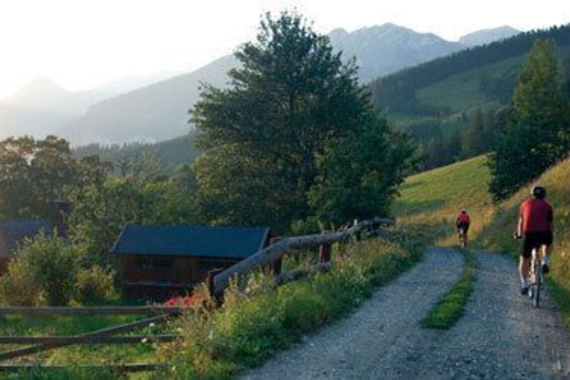 Mountainbike Weidau Tour LN 8 - Touren-Impression #1 | © TV Hochsteiermark