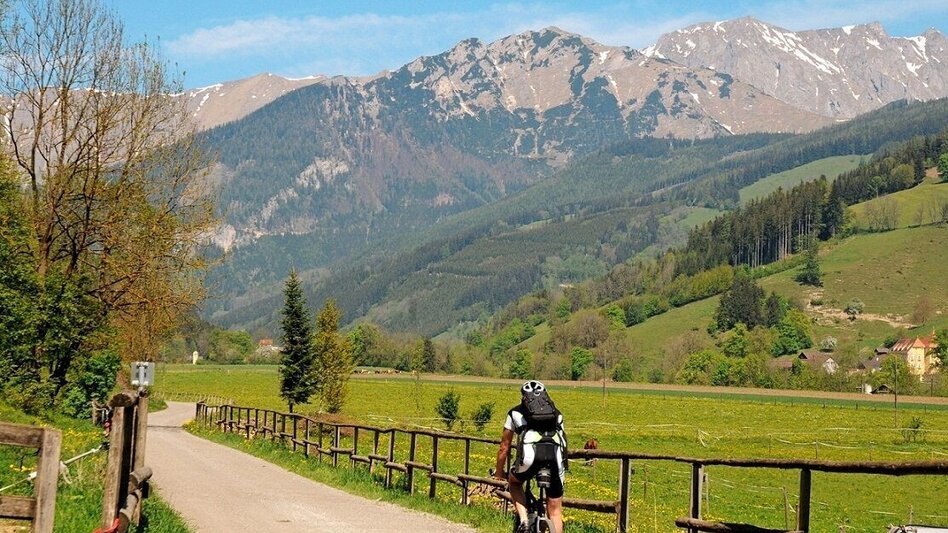 Mountainbike Weidau Tour LN 8 - Touren-Impression #2.4 | © Tourismusverband ERZBERG LEOBEN