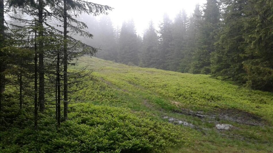 Wanderung Großofenrunde - Touren-Impression #2.1 | © Community