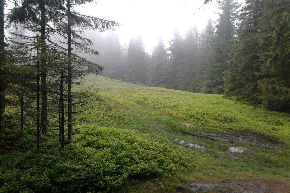 Wanderung Großofenrunde - Touren-Impression #1 | © Community