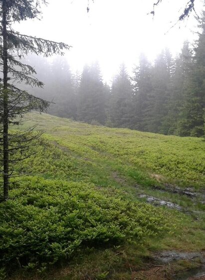 Sonntag, 27. Mai 2018 14:51:44 | © Community | Manfred Bauer | © Community