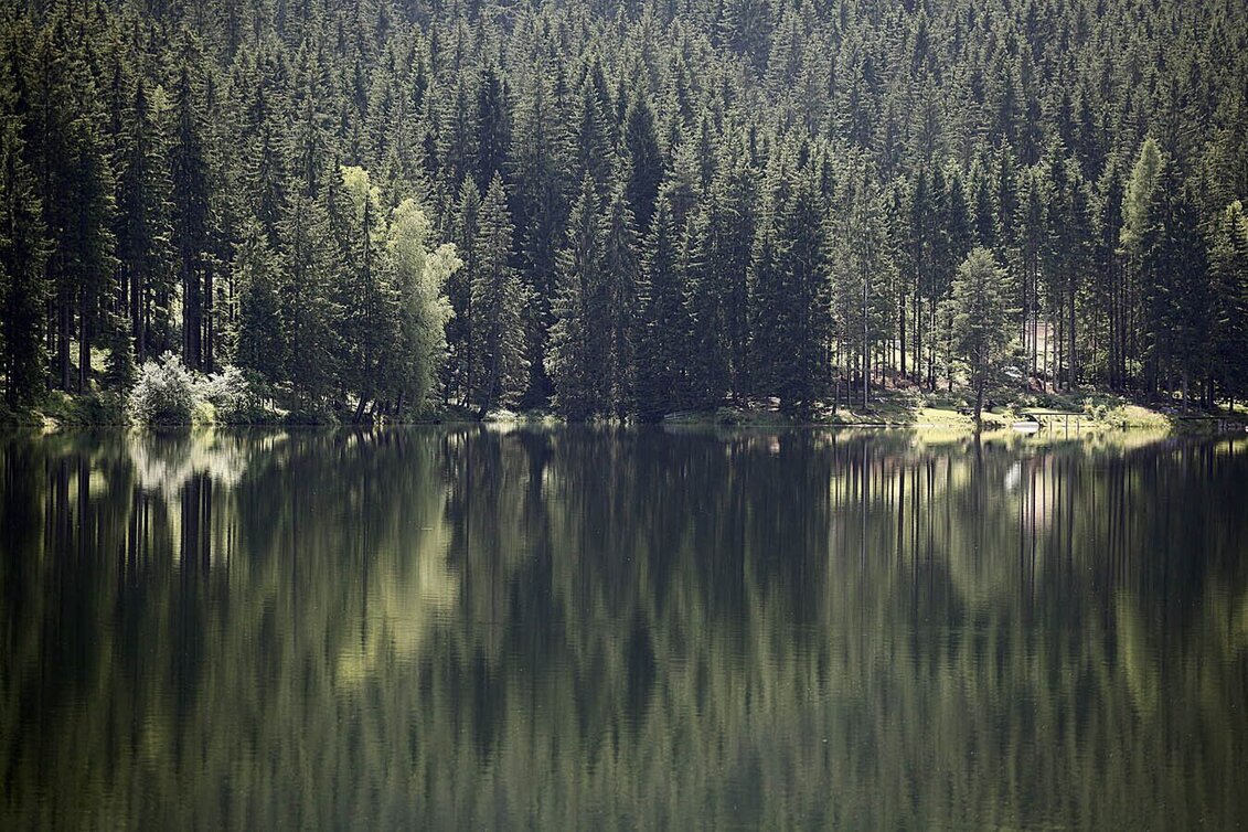 Wanderung Herzogberg Rundwanderweg - Touren-Impression #1 | © TV Lipizzanerheimat