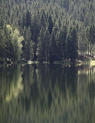 Packer Stausee | Enrico Caracciolo | © TV Lipizzanerheimat