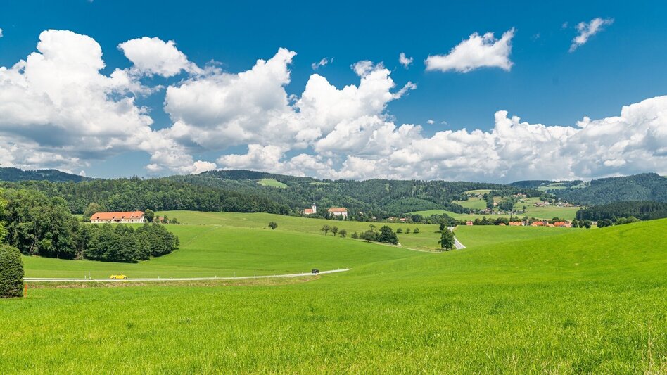 Wanderung Conversano Rundweg - Touren-Impression #2.1 | © Lipizzanerheimat