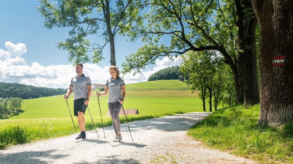 Wanderung Conversano Rundweg - Touren-Impression #2.3 | © Lipizzanerheimat