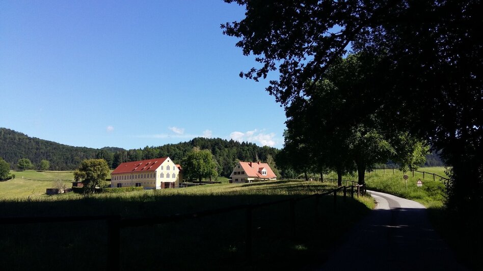 Wanderung Conversano Rundweg - Touren-Impression #2.7 | © Tourismusbüro Lipizzanerheimat