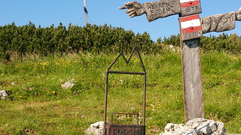 Hiking route Tonion alpine pasture hike - Touren-Impression #2.2 | © TV Hochsteiermark