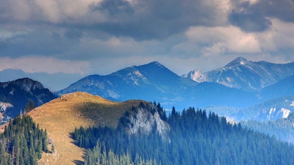 Hiking route Tonion alpine pasture hike - Touren-Impression #2.5 | © TV Hochsteiermark