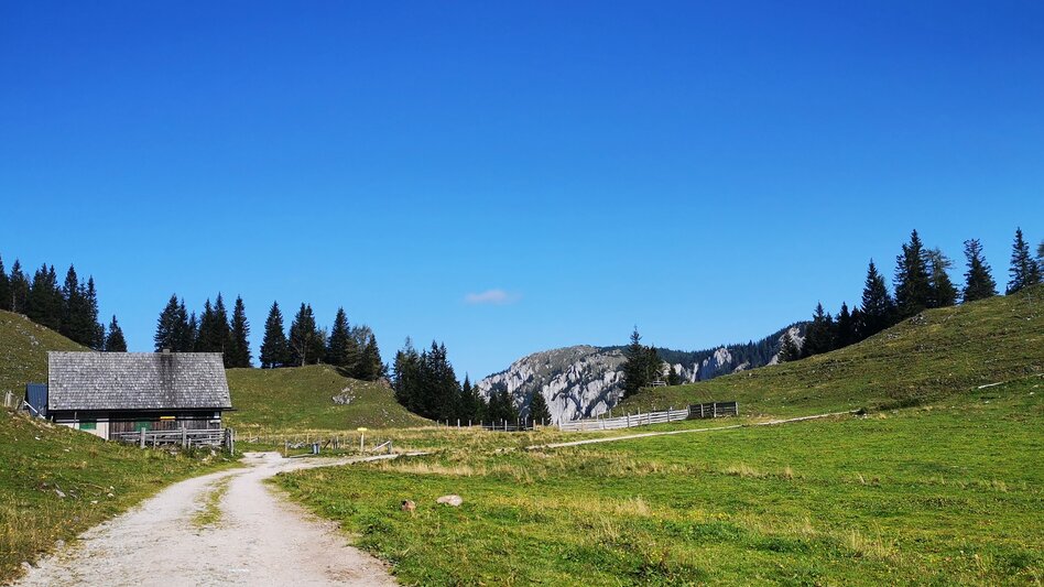 Hiking route Tonion alpine pasture hike - Touren-Impression #2.6 | © TV Hochsteiermark