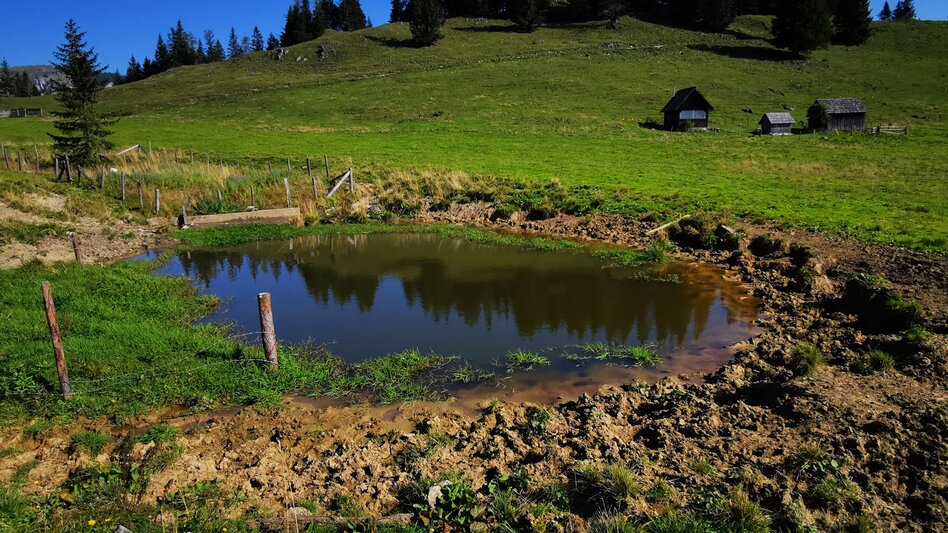 Hiking route Tonion alpine pasture hike - Touren-Impression #2.7 | © TV Hochsteiermark