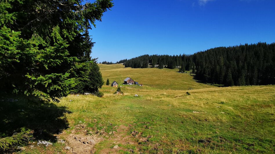 Hiking route Tonion alpine pasture hike - Touren-Impression #2.8 | © TV Hochsteiermark