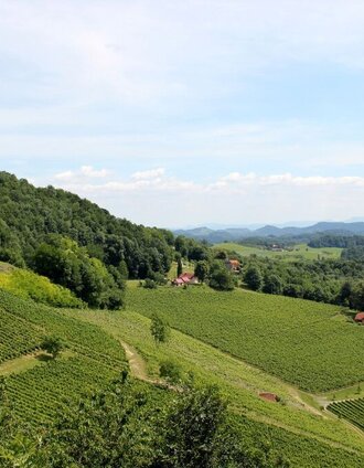 Plaschberg Warte | © Südsteiermark