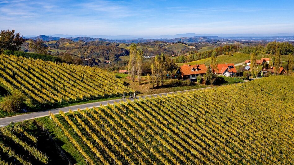 Bike Riding Cycling for pleasure - Wine Road Tour Variant 2 - "Ratsch" - Touren-Impression #2.2 | © Südsteiermark