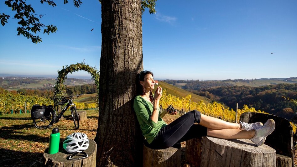 Bike Riding Cycling for pleasure - Wine Road Tour Variant 2 - "Ratsch" - Touren-Impression #2.3 | © Südsteiermark