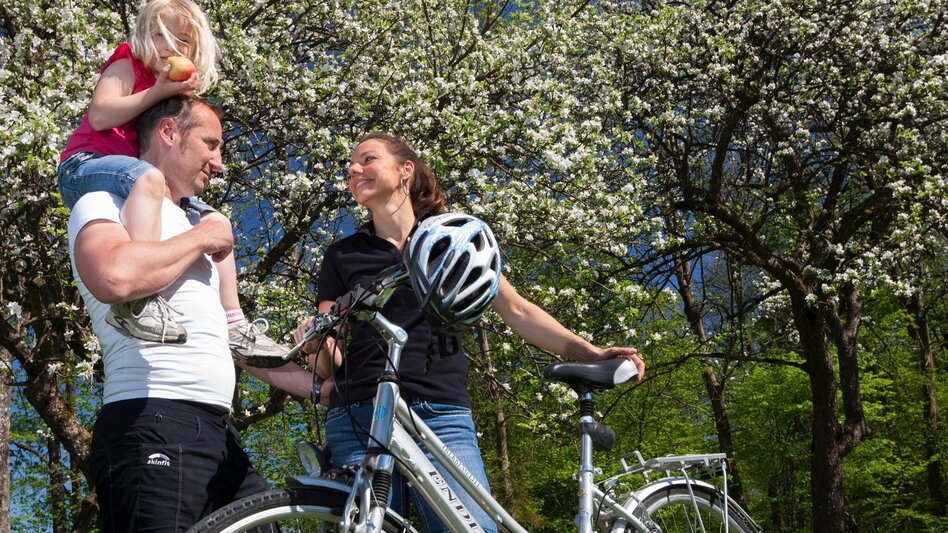 Bike Riding Beetle Bean Tour for Families - Touren-Impression #2.2 | © Steiermark Tourismus/Harry Schiffer
