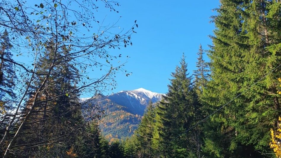 Bergtour Bruderkogel von der Pölsen - Touren-Impression #2.2 | © Martin Muhrer / bergfexmartin.at