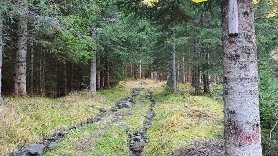 Bergtour Bruderkogel von der Pölsen - Touren-Impression #2.4 | © Martin Muhrer / bergfexmartin.at