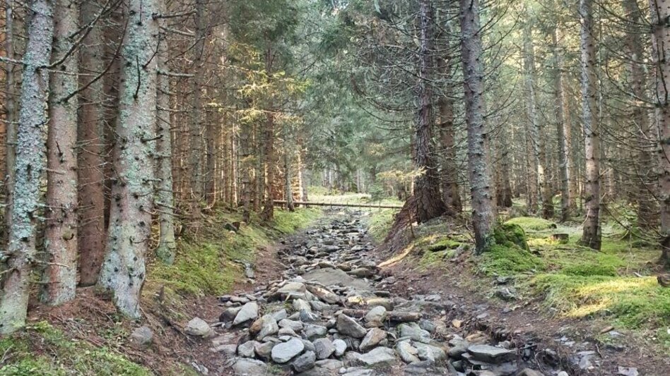 Bergtour Bruderkogel von der Pölsen - Touren-Impression #2.5 | © Martin Muhrer / bergfexmartin.at