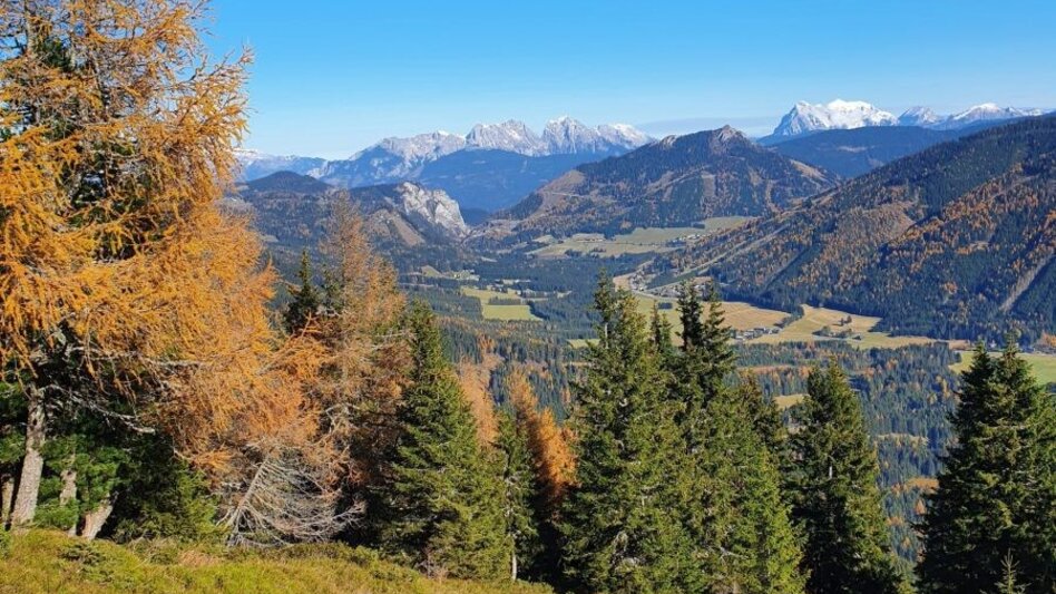 Bergtour Bruderkogel von der Pölsen - Touren-Impression #2.6 | © Martin Muhrer / bergfexmartin.at