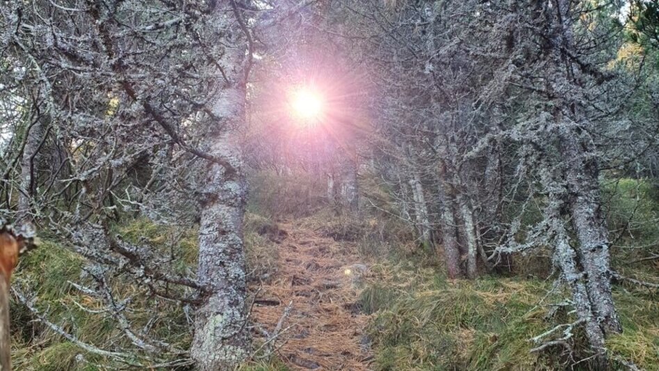 Bergtour Bruderkogel von der Pölsen - Touren-Impression #2.7 | © Martin Muhrer / bergfexmartin.at