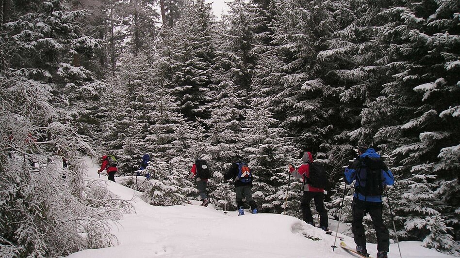 Ski Touring Großer Hengst, der white giant - Touren-Impression #2.2 | © Erlebnisregion Murtal