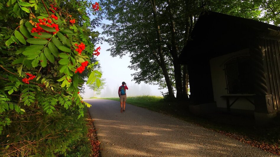 Hiking route Mariazell country round walk - Touren-Impression #2.1 | © TV Hochsteiermark