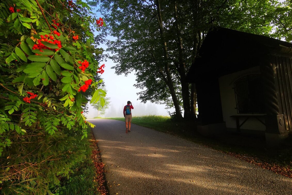Hiking route Mariazell country round walk - Touren-Impression #1 | © TV Hochsteiermark