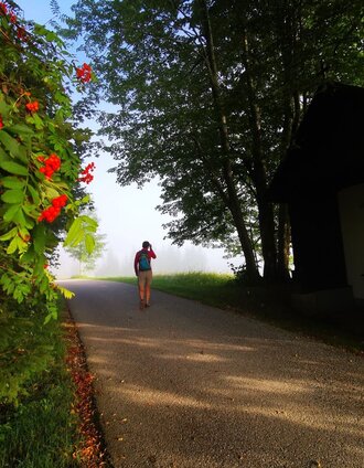 ... Richtung Erlaufsee auf dem Fleschweg... | Brigitte Digruber | © TV Hochsteiermark