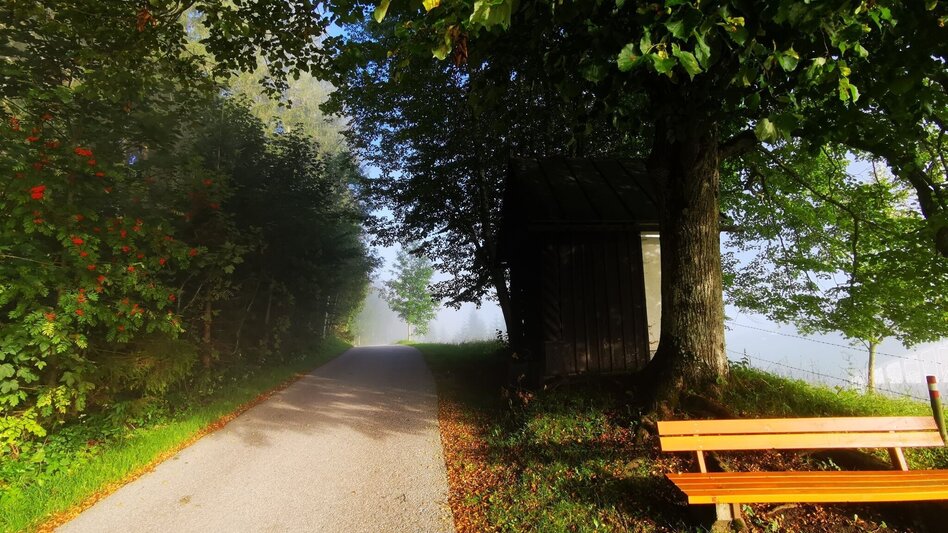 Hiking route Mariazell country round walk - Touren-Impression #2.2 | © TV Hochsteiermark
