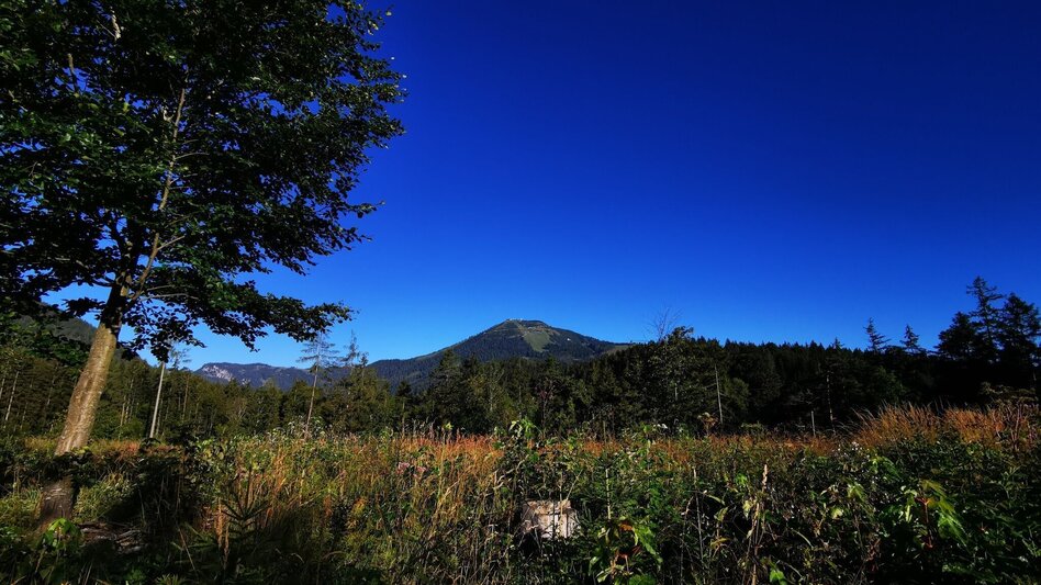 Hiking route Mariazell country round walk - Touren-Impression #2.3 | © TV Hochsteiermark
