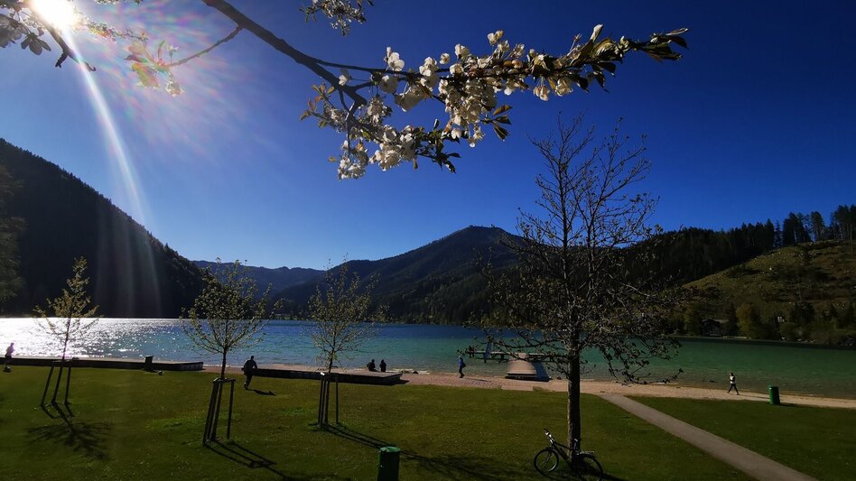 Hiking route Mariazell country round walk - Touren-Impression #2.4 | © TV Hochsteiermark