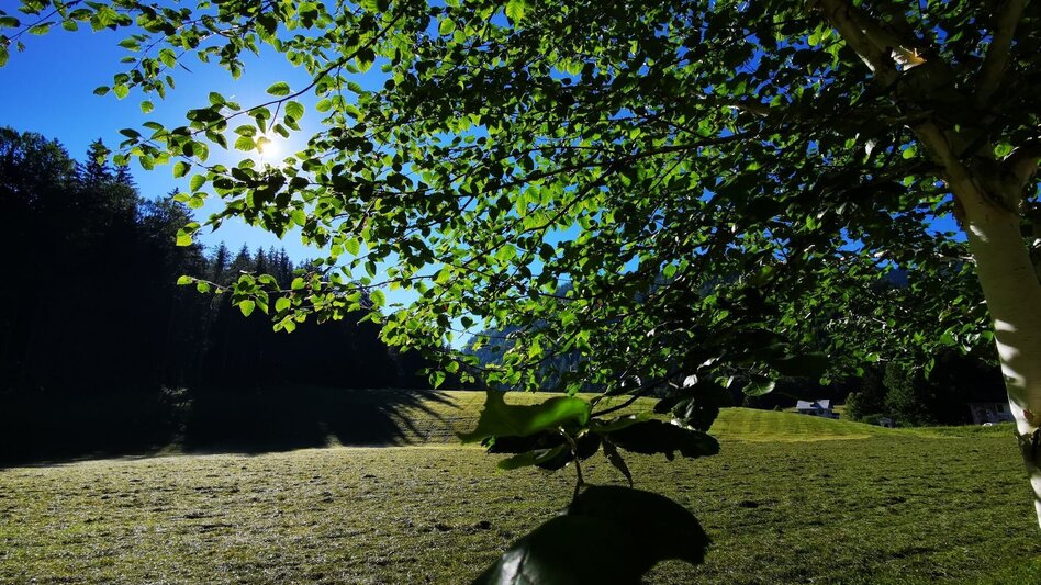 Hiking route Mariazell country round walk - Touren-Impression #2.7 | © TV Hochsteiermark